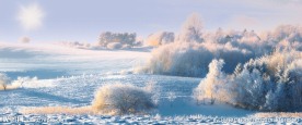 林海雪原