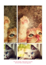 影楼PS调色动作