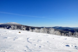 雪丘