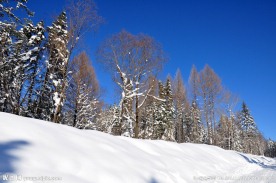 雪丘