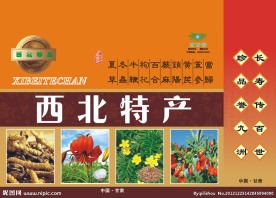 西北特产手提袋