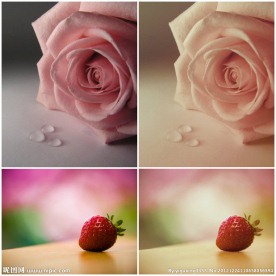 影楼PS调色动作