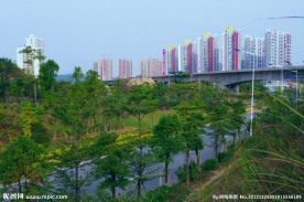 城市绿化 绿色家园