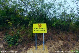 城市山水 绿化工程