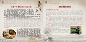 中药房宣传 中医科