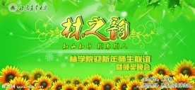 林之韵