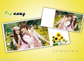 浪漫向日葵婚纱摄影