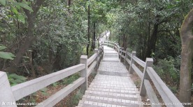 白云山摩星岭游记
