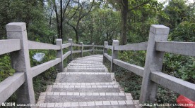 白云山摩星岭爬梯情