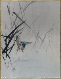 佚名 觅食
