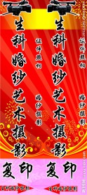 生科婚纱摄影竖形广告