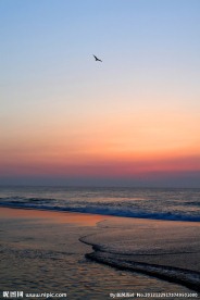 夕阳海滩