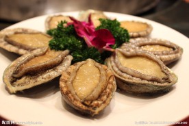 鲍鱼 蓬莱海鲜