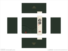 百豪茶设计