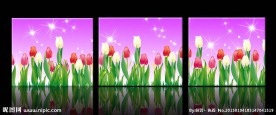 鲜花 无框画