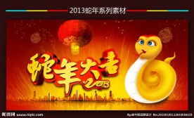 2013蛇年