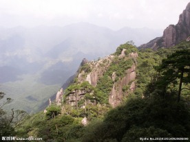 山峰与松树