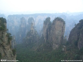 山峰与松树
