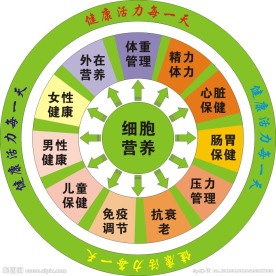 转盘