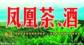 凤凰茶