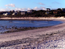 海岸景色