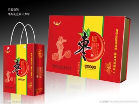 高档礼盒 手提袋（展开图）