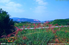 山水梅州 交通风景
