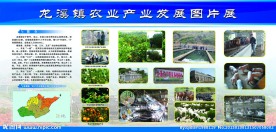 农业发展展板 农业展板