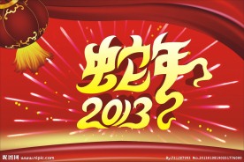 蛇年 2013