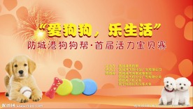狗海报背景墙