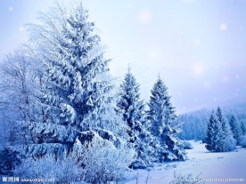 雪景