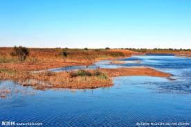 湿地风光