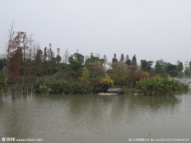 海珠湖