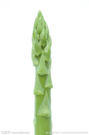 芦笋