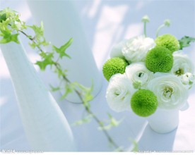 花花世界 单联画