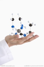 生物科学 细胞模型