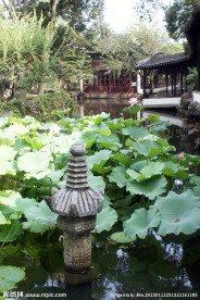 江南水乡风景