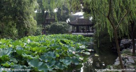 江南水乡风景