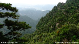 杜鹃山