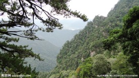 杜鹃山