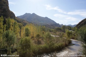 远去的山