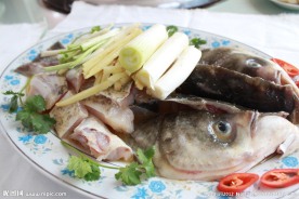 大头鱼