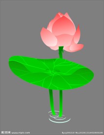 矢量荷花