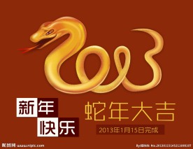 2013年 蛇年 蛇