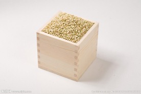 五谷杂粮 荞麦人
