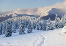 雪景