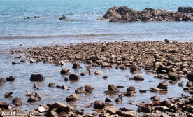 夏季的海边风景