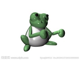 青蛙模型
