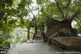 于山风景区 醉石