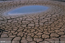 干涸土壤